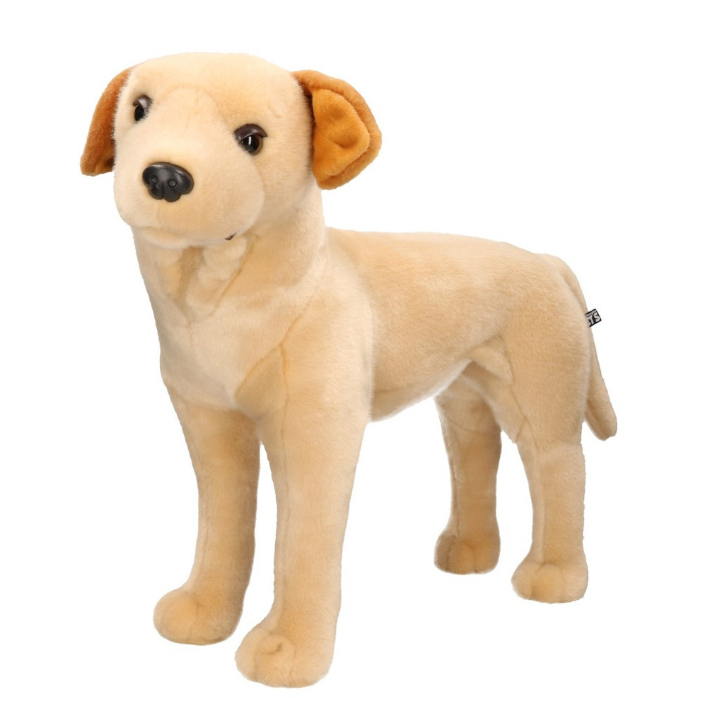 Afbeelding van Grote pluche blonde Labrador hond staand knuffel 53 cm speelgoed