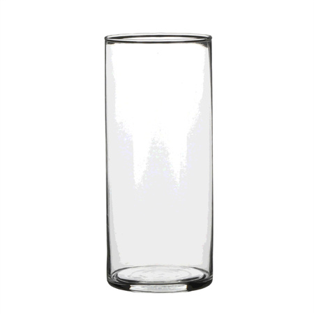 1x Glazen cilinder vaas/vazen 19 cm rond