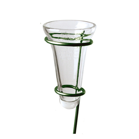 1x Regenmeter/neerslagmeter glas met verzinkte grondpen groen 69 cm
