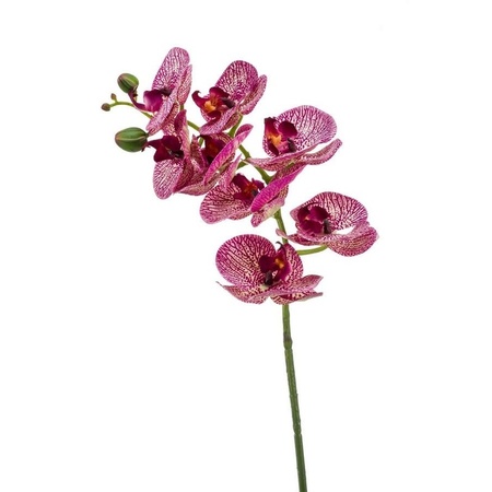 2x Fuchsia pink Phaleanopsis/orchid artificial flowers 70 cm
