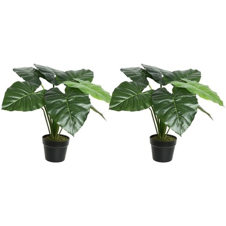2x Groene Colocasia/taro kunstplanten 52 cm in zwarte pot
