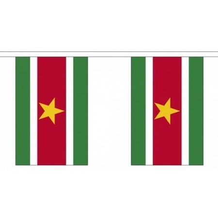 2x Luxe Suriname vlaggenlijnen/vlaggetjes 3 m