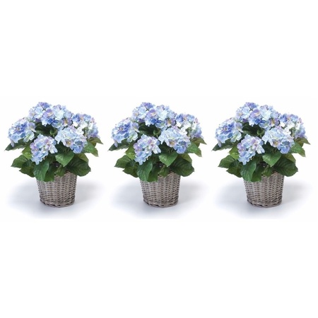 3x Blauwe Hortensia kunstplanten in mand 45 cm