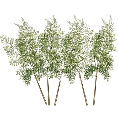 5x Kunstplanten bosvaren takken 58 cm groen
