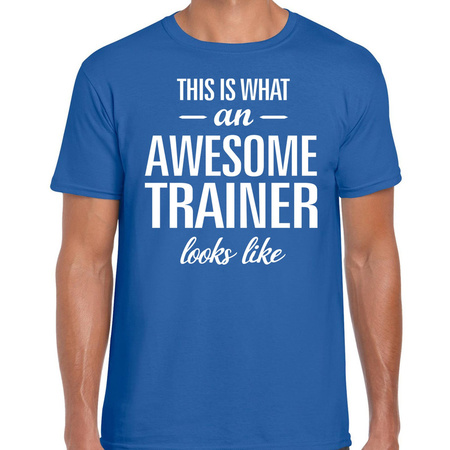 Awesome trainer t-shirt blue men