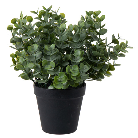 Eucalyptus Kunstplant - in pot - groen - H28 cm