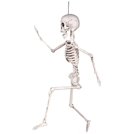 Hangende horror decoratie skelet 60 cm