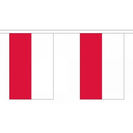 Luxe Polen vlaggenlijn 9 m