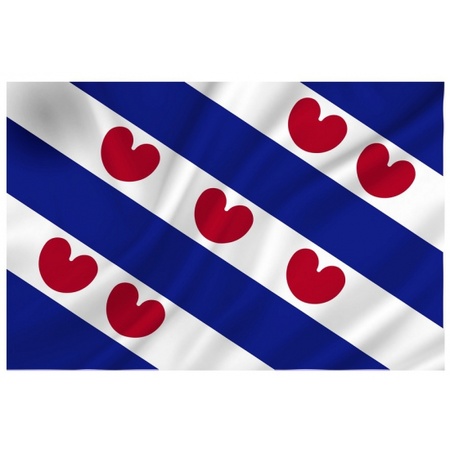 Luxe vlag Friesland/Fryslan 70 x 100 cm