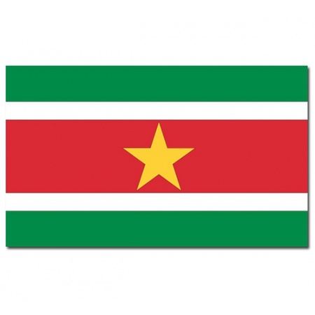 Vlag Suriname  90 x 150 cm feestartikelen